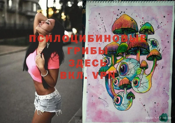 прущая мука Богородицк