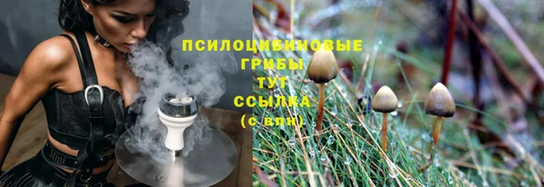 дурь Богданович