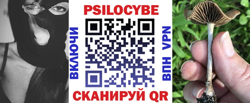 Галлюциногенные грибы мицелий  Острогожск 