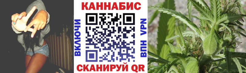 Каннабис VHQ  blacksprut ССЫЛКА  Острогожск  наркота 